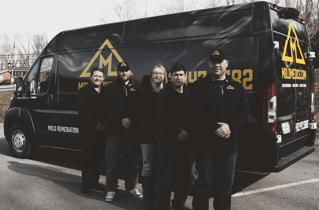 Mold Medics photo
