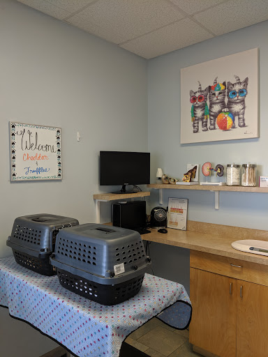University Veterinary Center - United States
