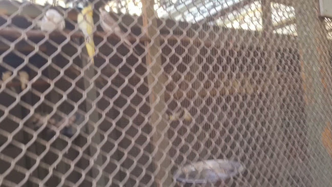 Bird Barn Pet Store Phone number