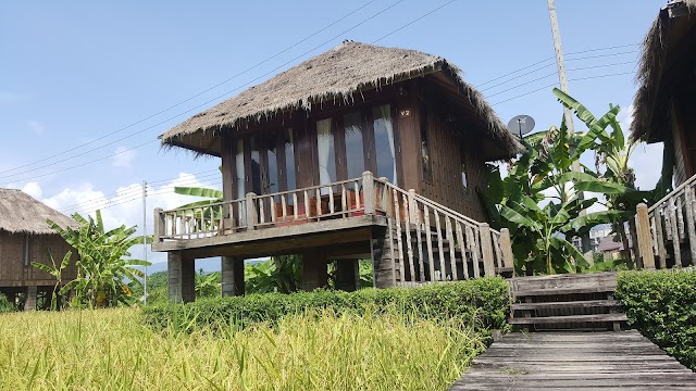 Place around image