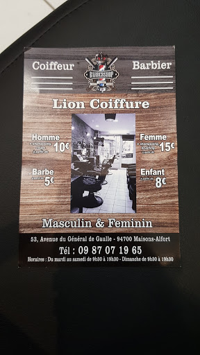 Lion coiffure Gallery - France