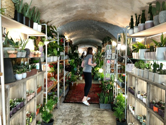 The Nunhead Gardener