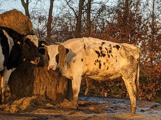 Glenrig Farm - Thumbnail