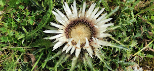 Photo n°30 de Gîte Coeur de village à Val-Sonnette (Lodge)