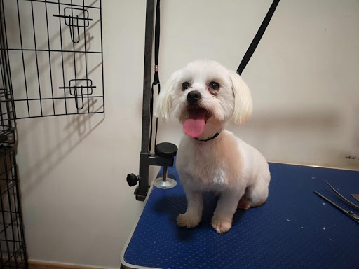 Clínica Veterinaria INDALET - Thumbnail