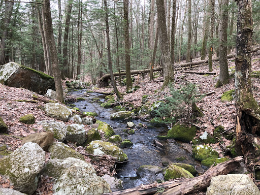 Webb Mountain Park Gallery - United States