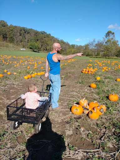 The Cave Pumpkin Patch - Visual