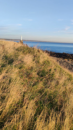 Greyhope Beach Open Times