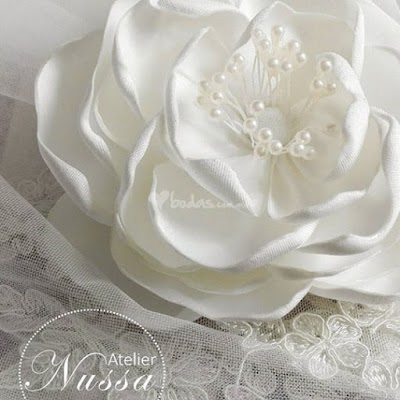 Photos of Atelier Nussa