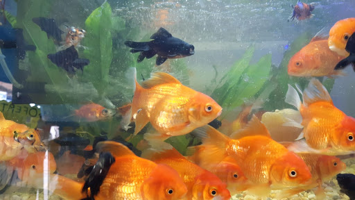 Acuario Aquarium Gallery - Mexico