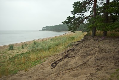 Photos of Pedassaare loodusrada
