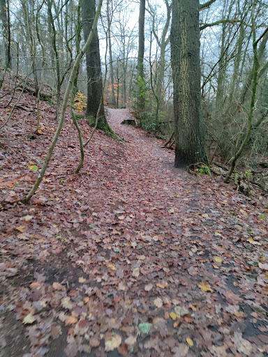 Wanderweg Luhfuhren Alte Kirche - Thumbnail