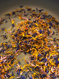 Photo n°8 de Fleurs des 4 saisons à Aubers (Ferme bio)