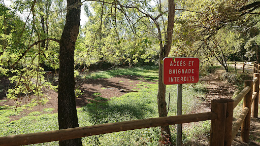 Parc De La Cazalère - Thumbnail