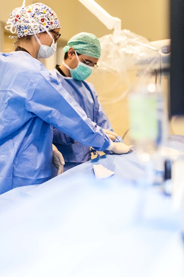 Istituto Scientifico Ospedale San Luca (Istituto Auxologico Italiano )