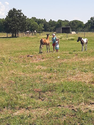 Sunshine Acres Ranch