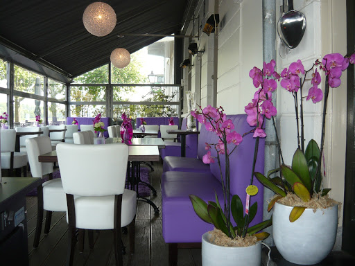 site_photo3