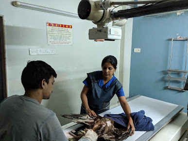 Af1qipm81kciew0su9nanasdh7pmf12pbuibr7vscwt2=s387 K No