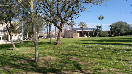 Parque Municipal de Manacor - Thumbnail