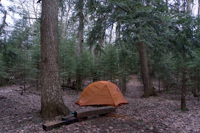 Photos of Mosquito Beach Campground