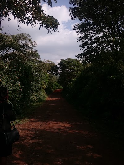Photos of Kibiku Forest