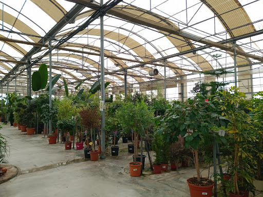 Christian Garden Center S.L. - Thumbnail