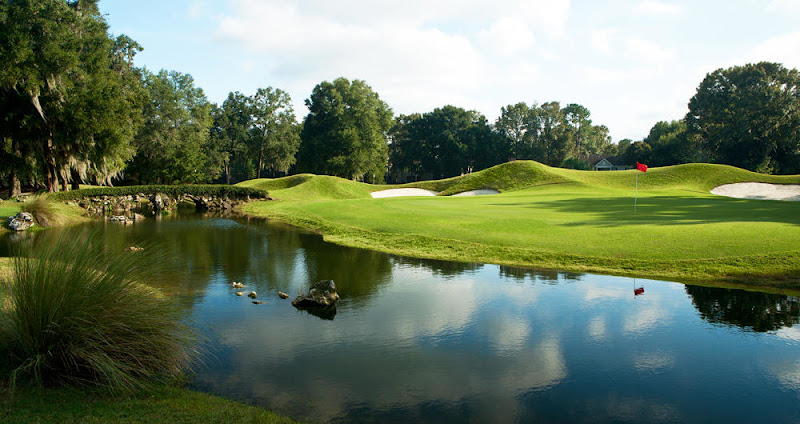 AF1QipM82F8panQ 3PuJCeCyiSagrEXxSwZJrkQjriSU=w800 h500 k no