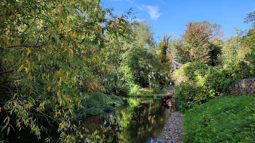 Touristen-Information: Fürstenberger Seenland - Thumbnail