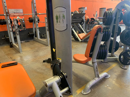 Mental fitness Gym - Mexico