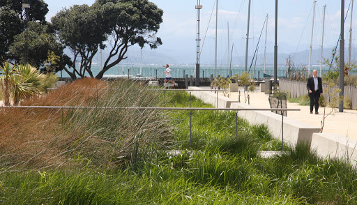 Waitangi Park Play Area - Thumbnail