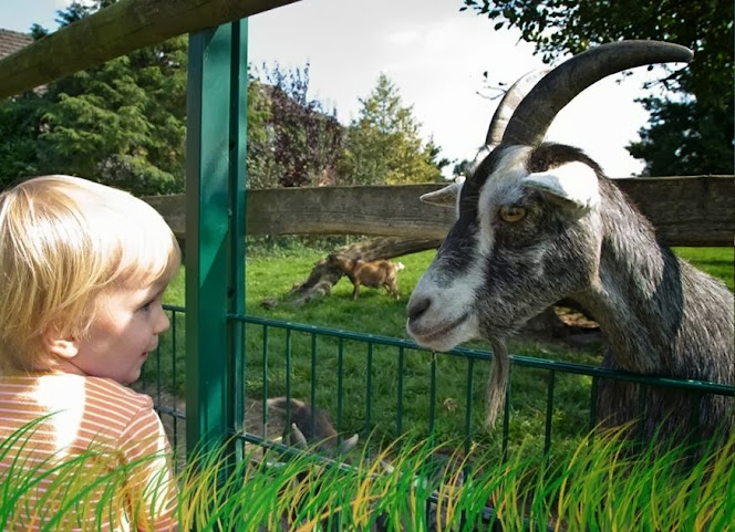 Campingpark Kerstgenshof by null