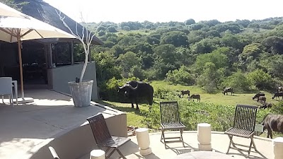 Photos of Amakhala Safari Lodge