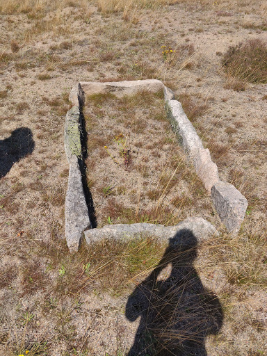 Camp Wolfishing - Visual