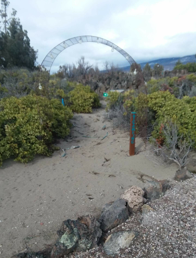 Blue Juniper Camping Grounds - Thumbnail