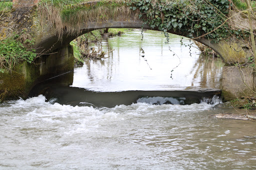 Marais de Marœuil