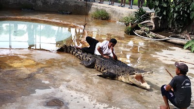 Taman buaya tuaran