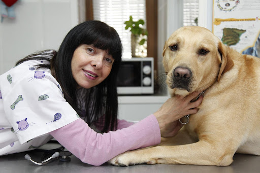 MORALZARZAL VETERINARIA