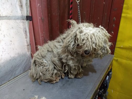 Veterinaria "la tucita" - Thumbnail