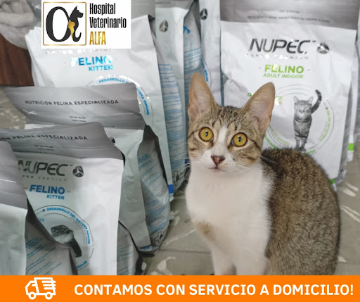 HOSPITAL VETERINARIO ALFA
