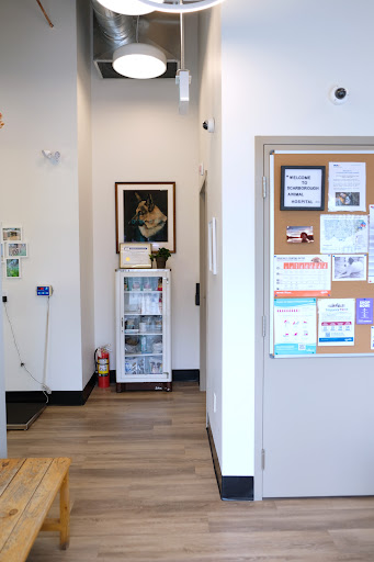 VCA Canada Scarborough Animal Hospital - Thumbnail