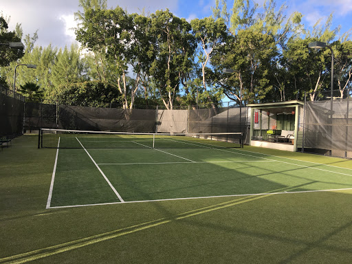 TennisSafari - Thumbnail