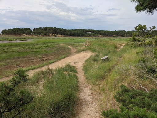 Pilgrim Spring Conservation Area Logo