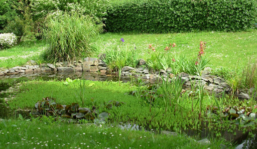 Photo de Les Jardins D'Ailleurs à Saint-Méloir-des-Ondes (35350)