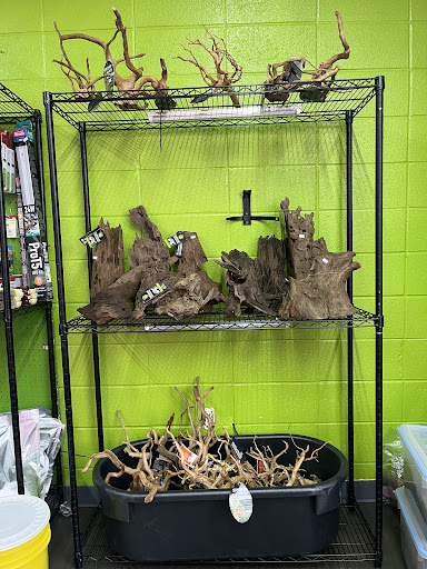 Frog Family Reptile Shop Gallery - United States