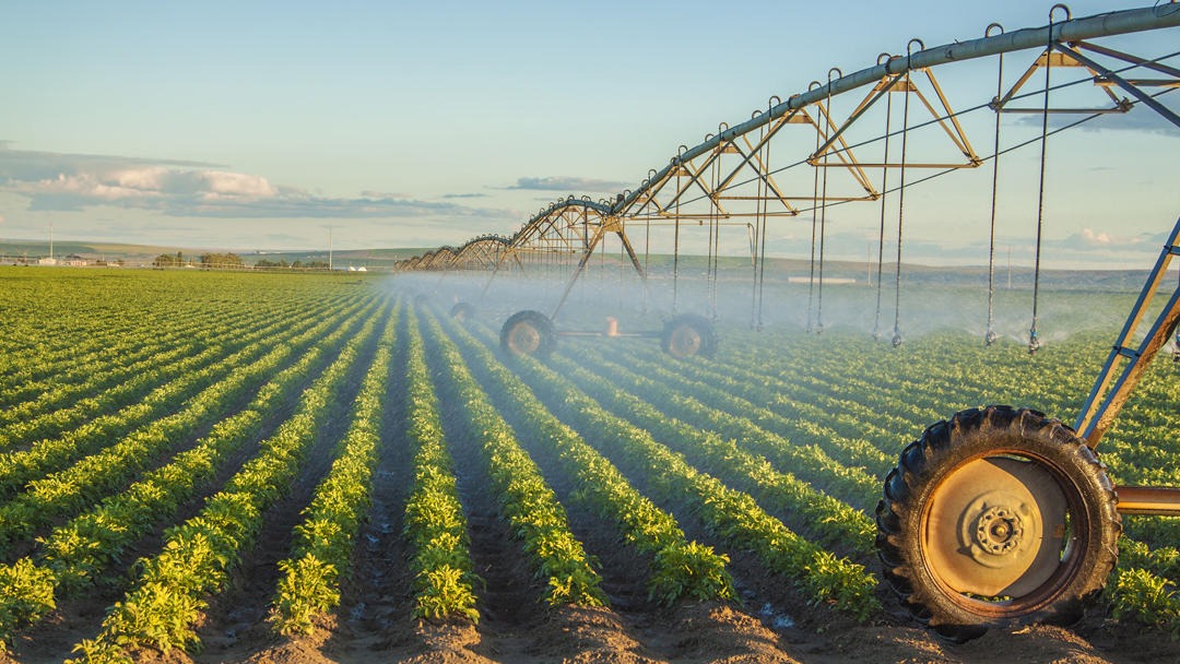 Ronan Irrigation LLC