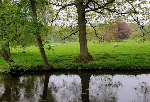 Landgoed Backershagen