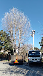 Photo n°15 de CLEMENT élagage à Aix-en-Provence (Jardinier)