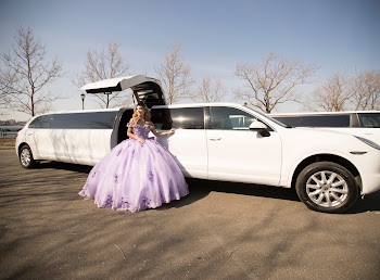 RPD LIMOUSINE image 3