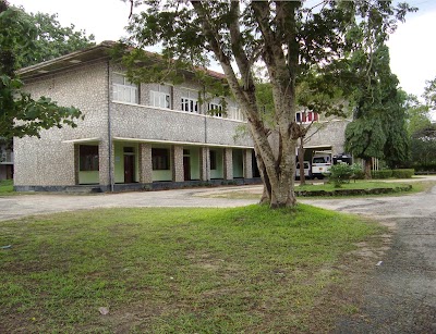university