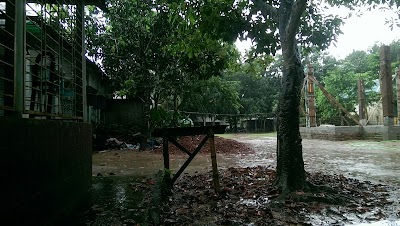 Photos of Haluakandi